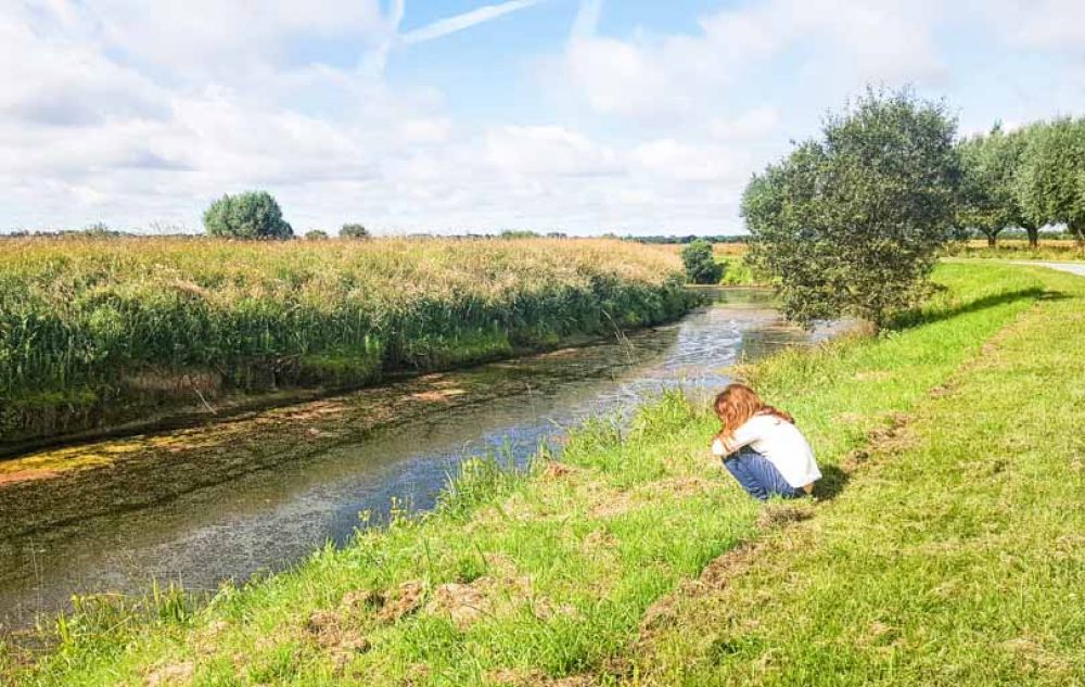 que faire dans la manche